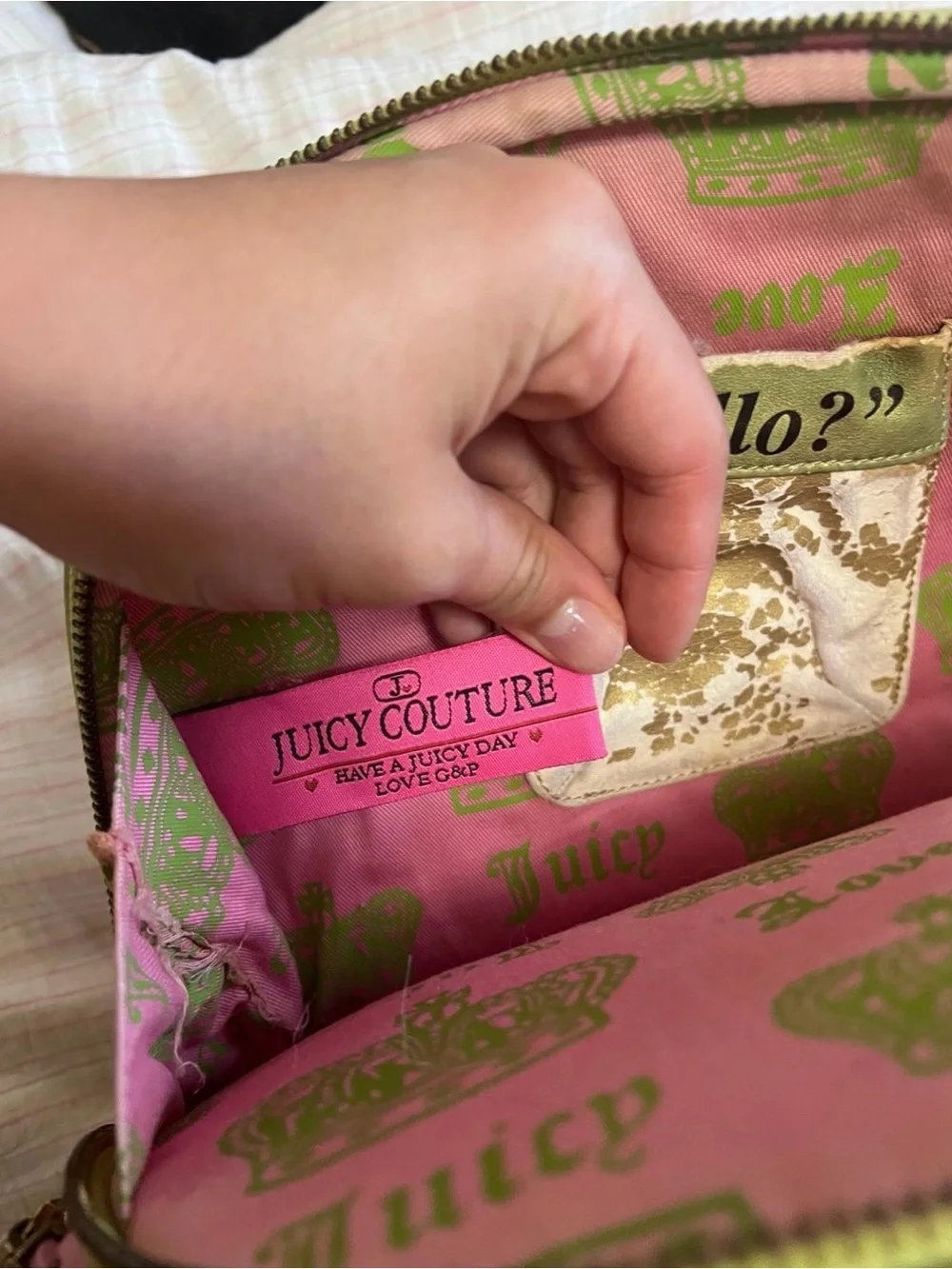 Vintage Juicy Couture pink and green Girl's Best Friend dog carrier